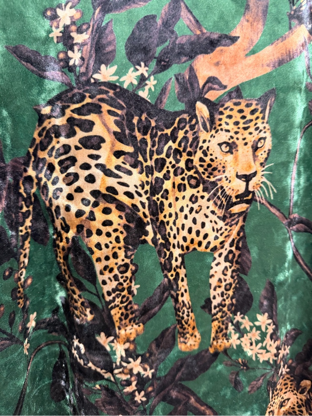 Green and Black Leopard-Print Long Sleeve Open Dress Robe - Picture 5 of 6